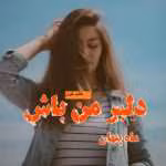 دانلود رمان دلبر من باش