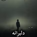 دانلود رمان دلبرانه pdf از زهرا پور خوانی (جلد دوم)