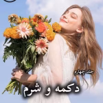 دانلود رمان دکمه و شرم (جلد چهارم) pdf از پنلوپه اسکای