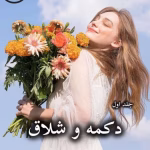 دانلود رمان دکمه و شلاق (جلد اول) pdf از پنلوپه اسکای