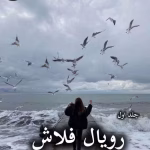 دانلود رمان رویال فلاش pdf از تهمینه (جلد اول)