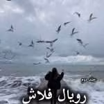 دانلود رمان رویال فلاش pdf از تهمینه (جلد دوم)