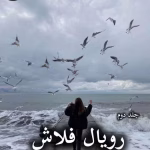 دانلود رمان رویال فلاش pdf از تهمینه (جلد دوم)