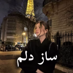 دانلود رمان ساز دلم pdf |اثر فاطمه زارعی (کامل)