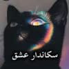 دانلود رمان سکاندار عشق pdf از مریم حیدری