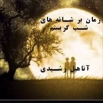 دانلود رمان برشانه های شب گریستم