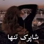 دانلود رمان شاپرک تنها pdf از پروانه قدیمی