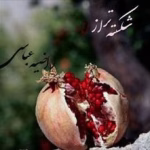 دانلود رمان شکسته تر از انار