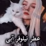 دانلود رمان عطر نیلوفر آبی pdf از زیبا ستاری