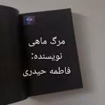 دانلود رمان مرگ ماهی نوشته فاطمه حیدری