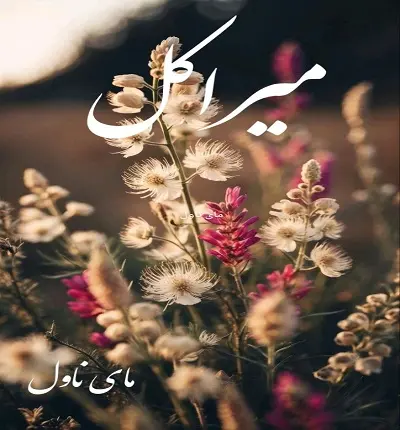 میراکل.jpg دانلود رمان میراکل