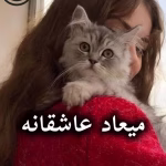 دانلود رمان میعاد عاشقانه pdf از مریم دالایی