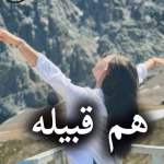 دانلود رمان هم قبیله pdf از زهرا ولی بهاروند