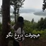دانلود رمان هیچوقت دروغ نگو pdf از فریدا مک فادن