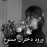 دانلود رمان ورود دختران ممنوع pdf از rOya9800
