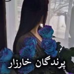 دانلود رمان پرندگان خارزار pdf از کالین مک کالو