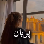 دانلود رمان پریان pdf |اثر شوکا شلر و زهرا چگنی