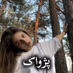 دانلود رمان پژواک pdf از مهدیه افشار