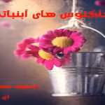 دانلود رمان نوشخند صبح(جلد دوم کاکتوس های آبنباتی)