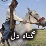 دانلود رمان گناه دل pdf |اثر آرزو هاشم آبادی