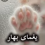 دانلود رمان یغمای بهار pdf |اثر یاسی (کامل)