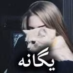 دانلود رمان یگانه pdf از شیوا اسفندی