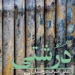 دانلود و معرفی کتاب درشتی نوشته علی اشرف درویشیان  