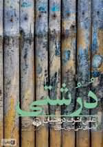 دانلود و معرفی کتاب درشتی نوشته علی اشرف درویشیان  