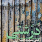 دانلود و معرفی کتاب درشتی نوشته علی اشرف درویشیان  