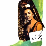 دانلود رمان چکمه زرد اثر امیر عشیری