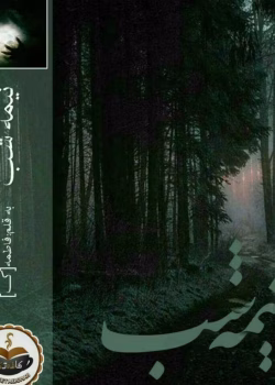 رمان نیمه شب