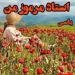 رمان استاد مرموز من