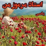 رمان استاد مرموز من