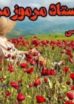 رمان استاد مرموز من