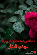 دانلود رمان به سلامتی یک شکوفه زیر تگرگ/هیجانی متفاوت