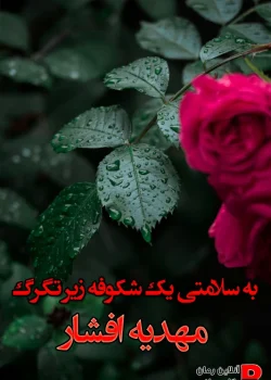 دانلود رمان به سلامتی یک شکوفه زیر تگرگ/هیجانی متفاوت