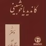 دانلود رمان کاندید یا خوشبینی