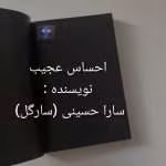 دانلود رمان احساس عجیب از سارگل