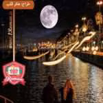 دانلود رمان چیزی شبیه سرنوشت