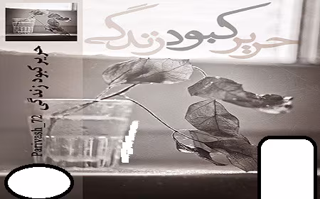 11 دانلود رمان حریر کبود زندگی - تصویر 1
