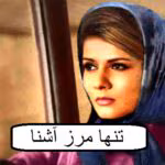 دانلود رمان تنها مرز آشنا