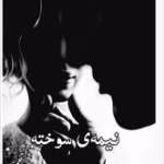 دانلود رمان نیمه سوخته