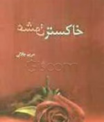 دانلود رمان خاکستر عشق