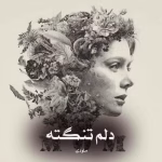 دانلود رمان دلم تنگه pdf اثر ملودی