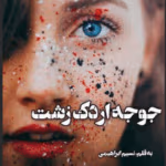دانلود رمان جوجه اردک زشت