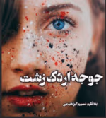 دانلود رمان جوجه اردک زشت