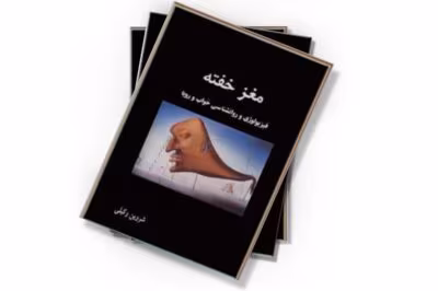کتاب مغز خفته از نویسنده شروین وکیلی_ کامل  | دانلود  | کتاب خوان