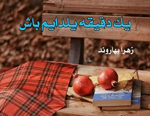 cropped-17.webp دانلود رمان یک دقیقه یلدایم باش - تصویر 1