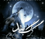 دانلودرمان گرگ بنداثرپریساخاتون PDFرمان عاشقانه وپلیسی - تصویر 1