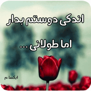 رمان اندکی دوستم بدار اما طولانی | دانلود  | کتاب خوان